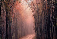 G联赛季后赛球队出炉：毒蛇&勇士等晋级 卫冕冠军&南湾湖人等淘汰.