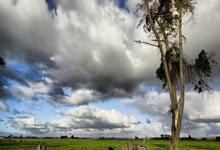 WELLBET：全国短道速滑冠军赛：内蒙古队单日收获1金2银.