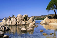 WELLBET：足球——中超：山东泰山胜大连英博海发.